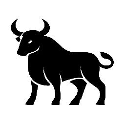 Leveraged Bull Consulting